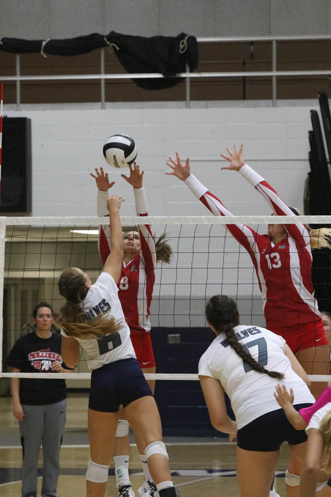 Gallery: Girls volleyball - Crown Point at Michigan City